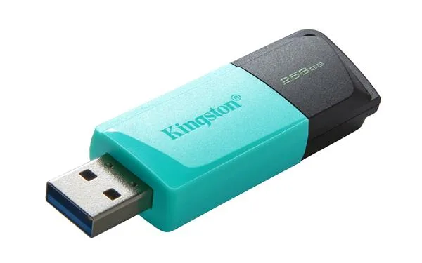 USB FLASH KINGSTON DATA TRAVELER EXODIA 256GB